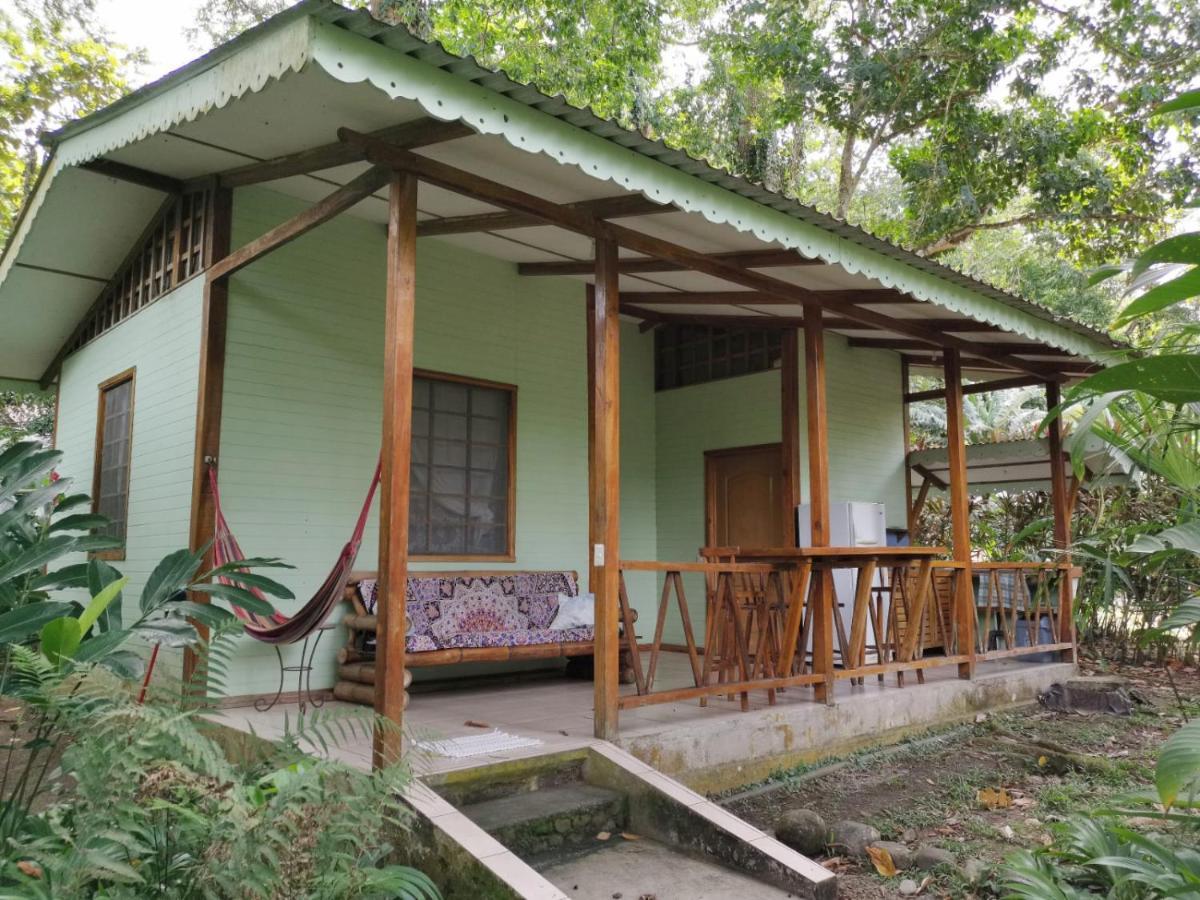 Luna Caribena Village Puerto Viejo de Talamanca Eksteriør billede