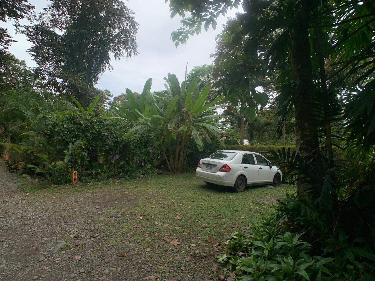 Luna Caribena Village Puerto Viejo de Talamanca Eksteriør billede