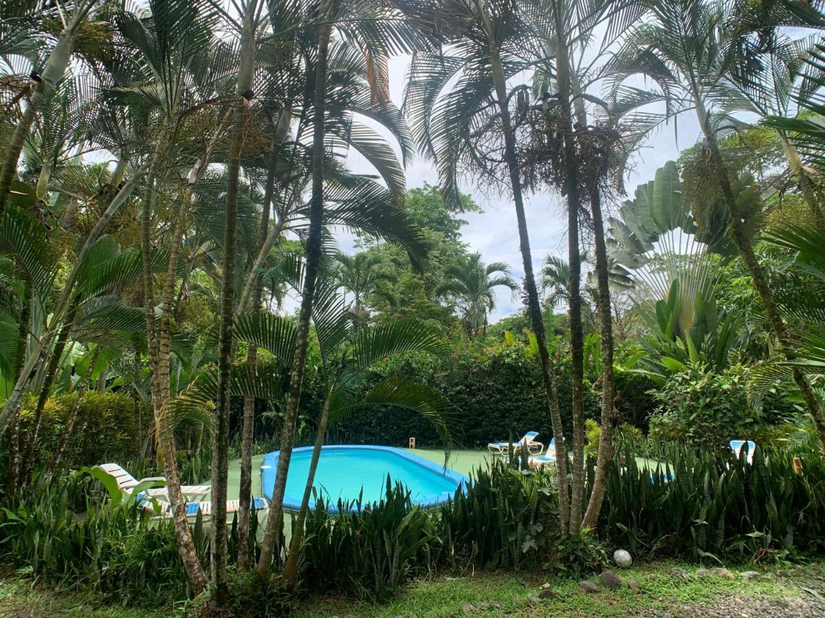 Luna Caribena Village Puerto Viejo de Talamanca Eksteriør billede