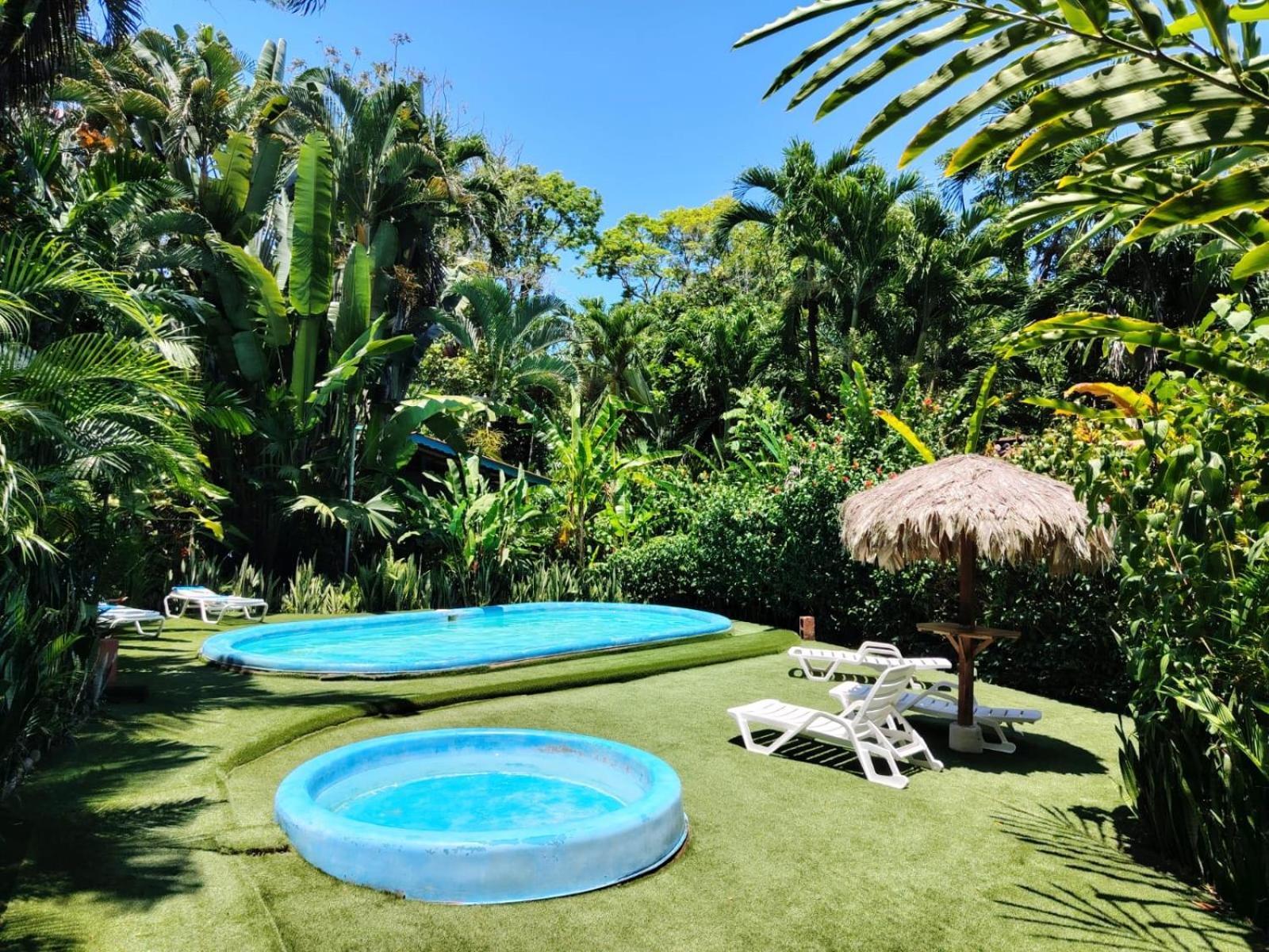 Luna Caribena Village Puerto Viejo de Talamanca Eksteriør billede