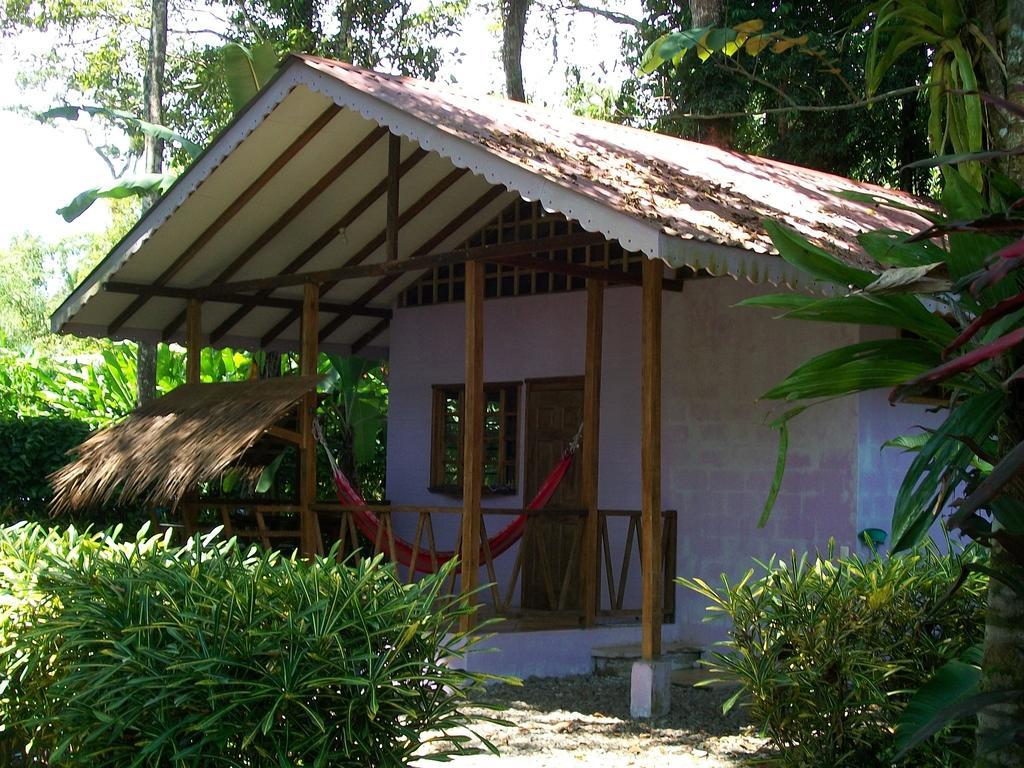 Luna Caribena Village Puerto Viejo de Talamanca Eksteriør billede