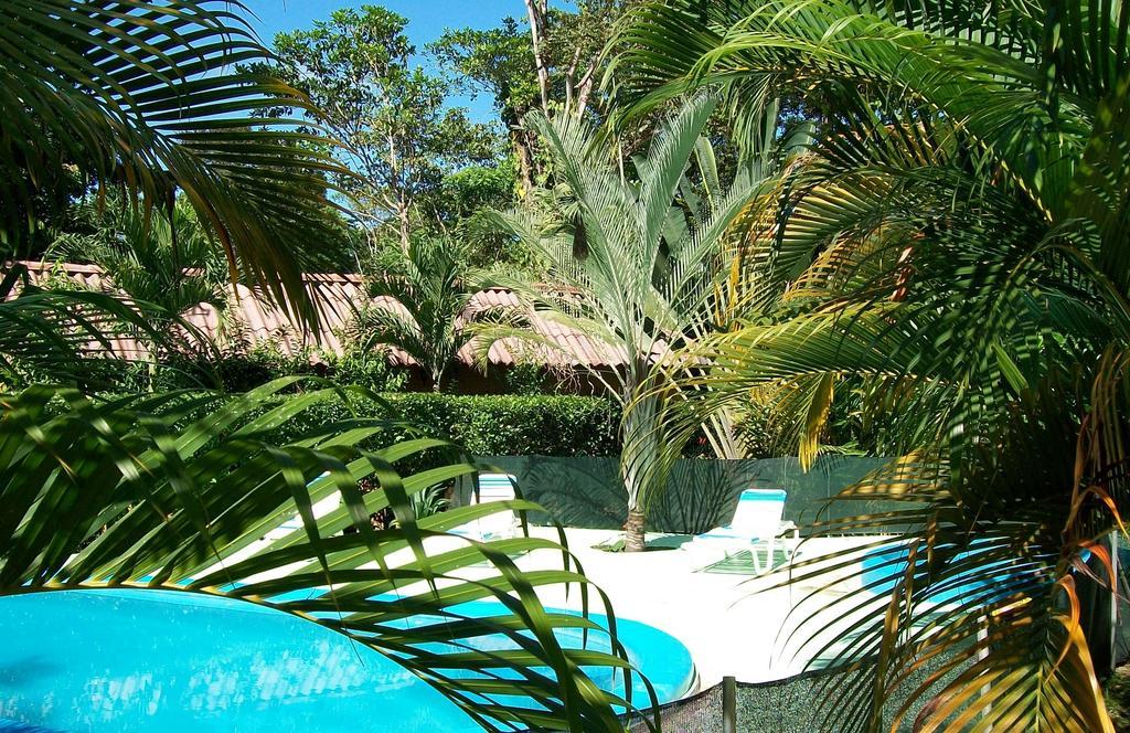 Luna Caribena Village Puerto Viejo de Talamanca Eksteriør billede