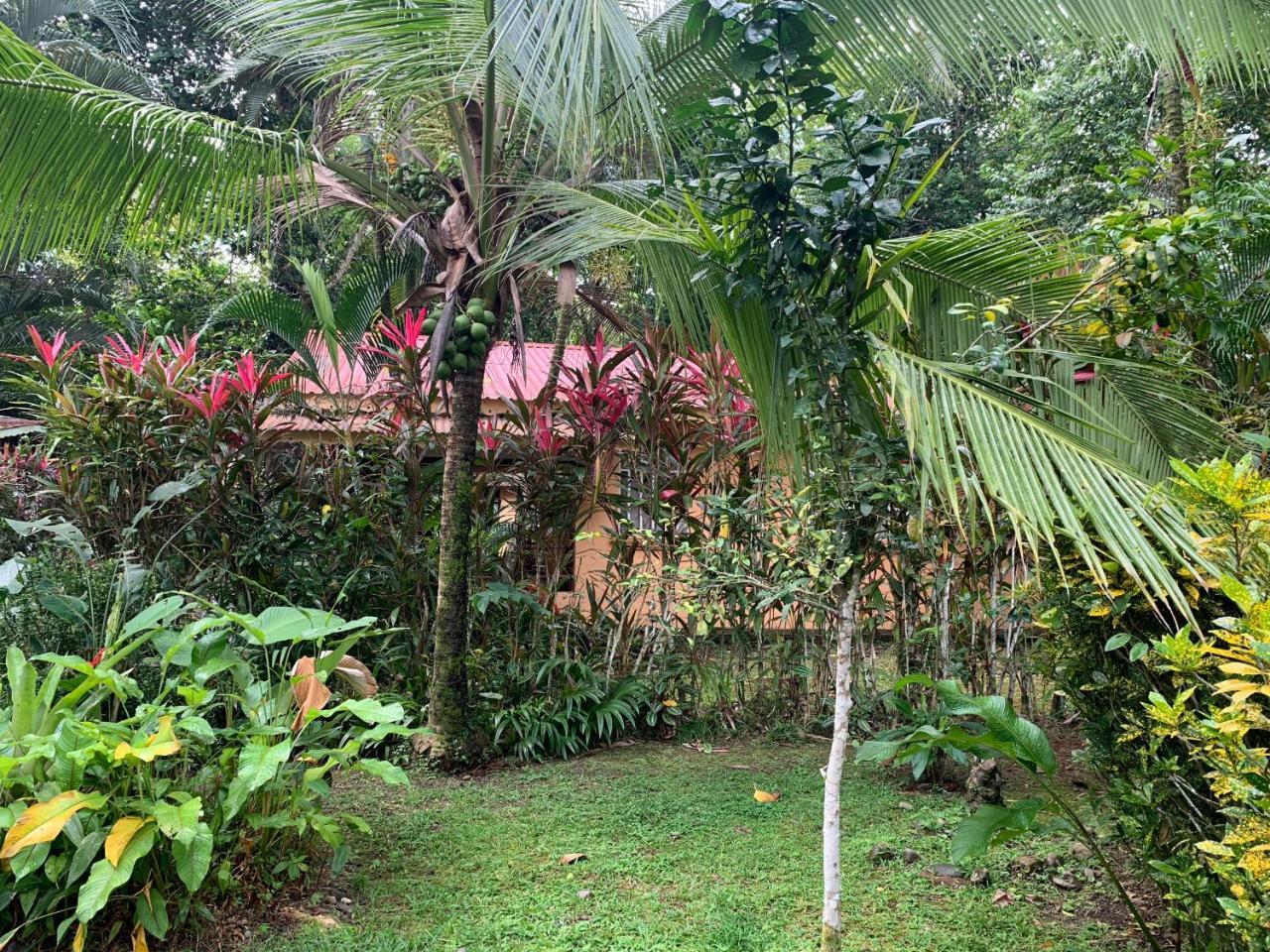 Luna Caribena Village Puerto Viejo de Talamanca Eksteriør billede