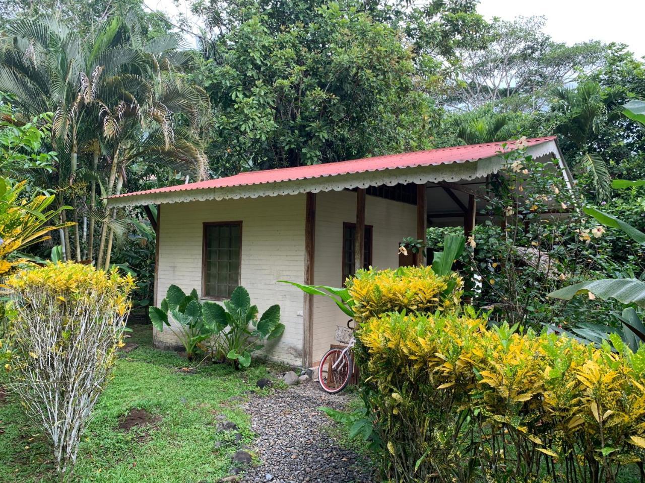 Luna Caribena Village Puerto Viejo de Talamanca Eksteriør billede