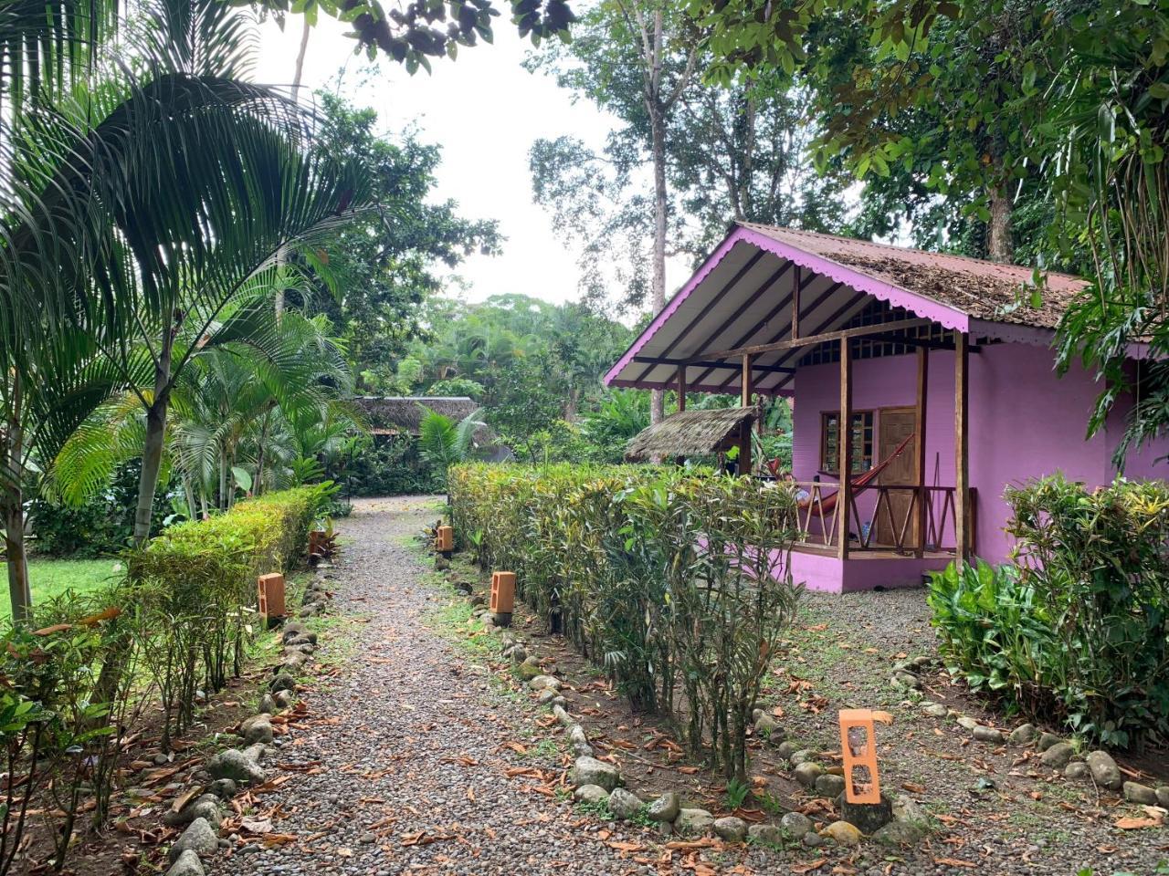 Luna Caribena Village Puerto Viejo de Talamanca Eksteriør billede