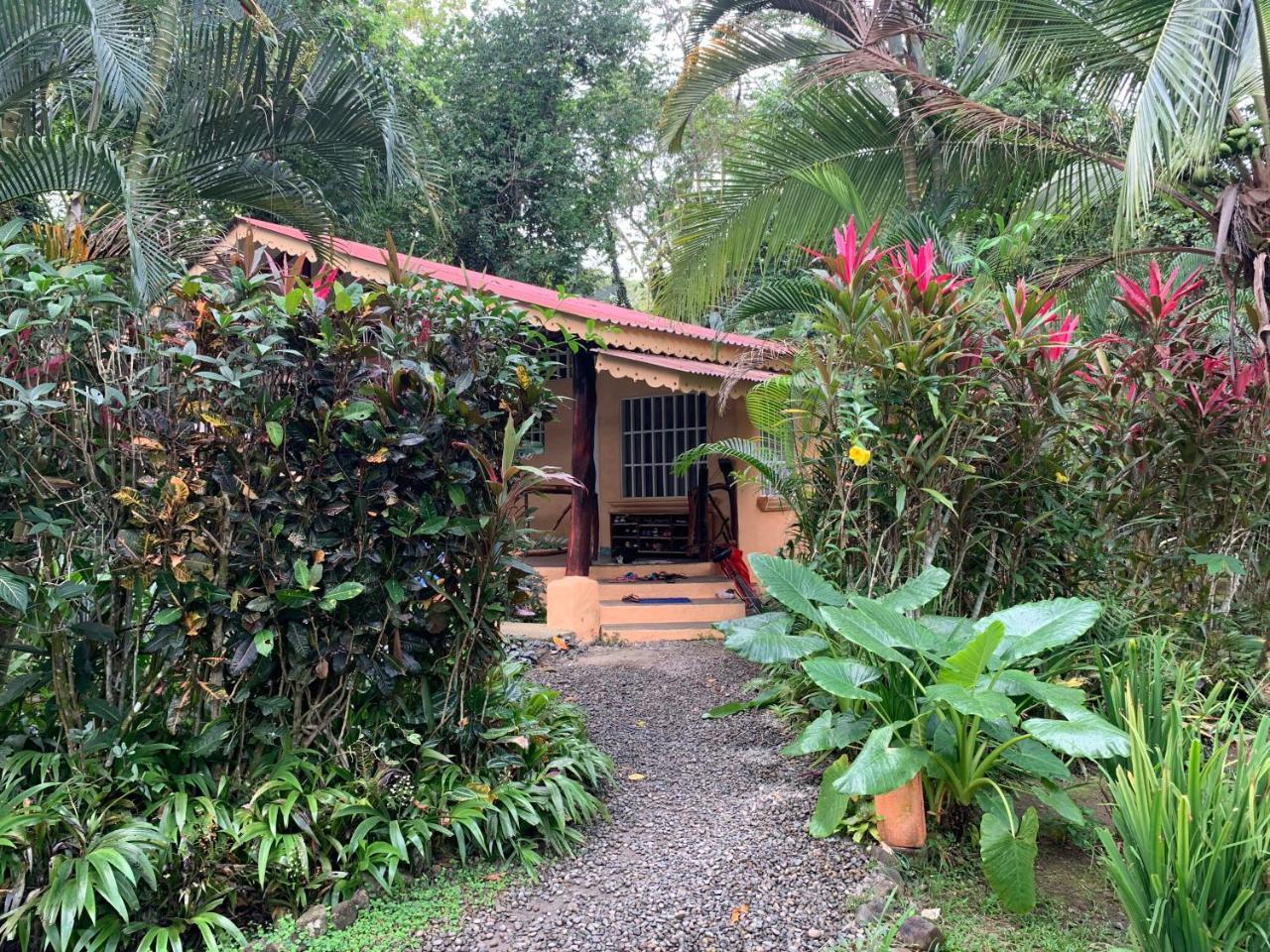 Luna Caribena Village Puerto Viejo de Talamanca Eksteriør billede