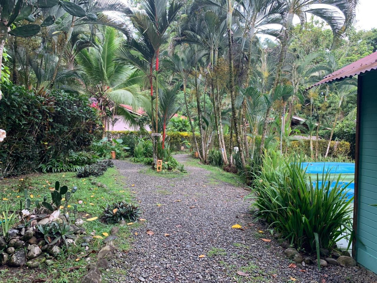 Luna Caribena Village Puerto Viejo de Talamanca Eksteriør billede
