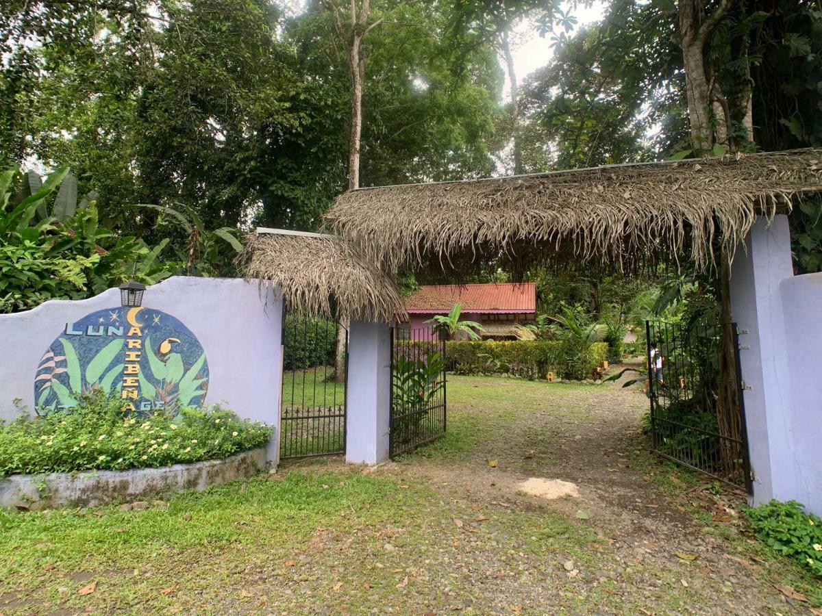 Luna Caribena Village Puerto Viejo de Talamanca Eksteriør billede