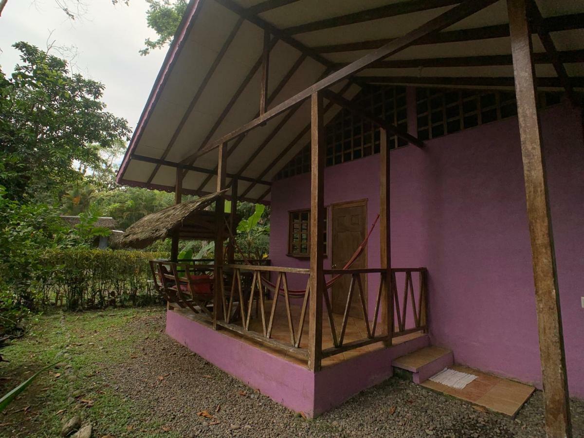 Luna Caribena Village Puerto Viejo de Talamanca Eksteriør billede