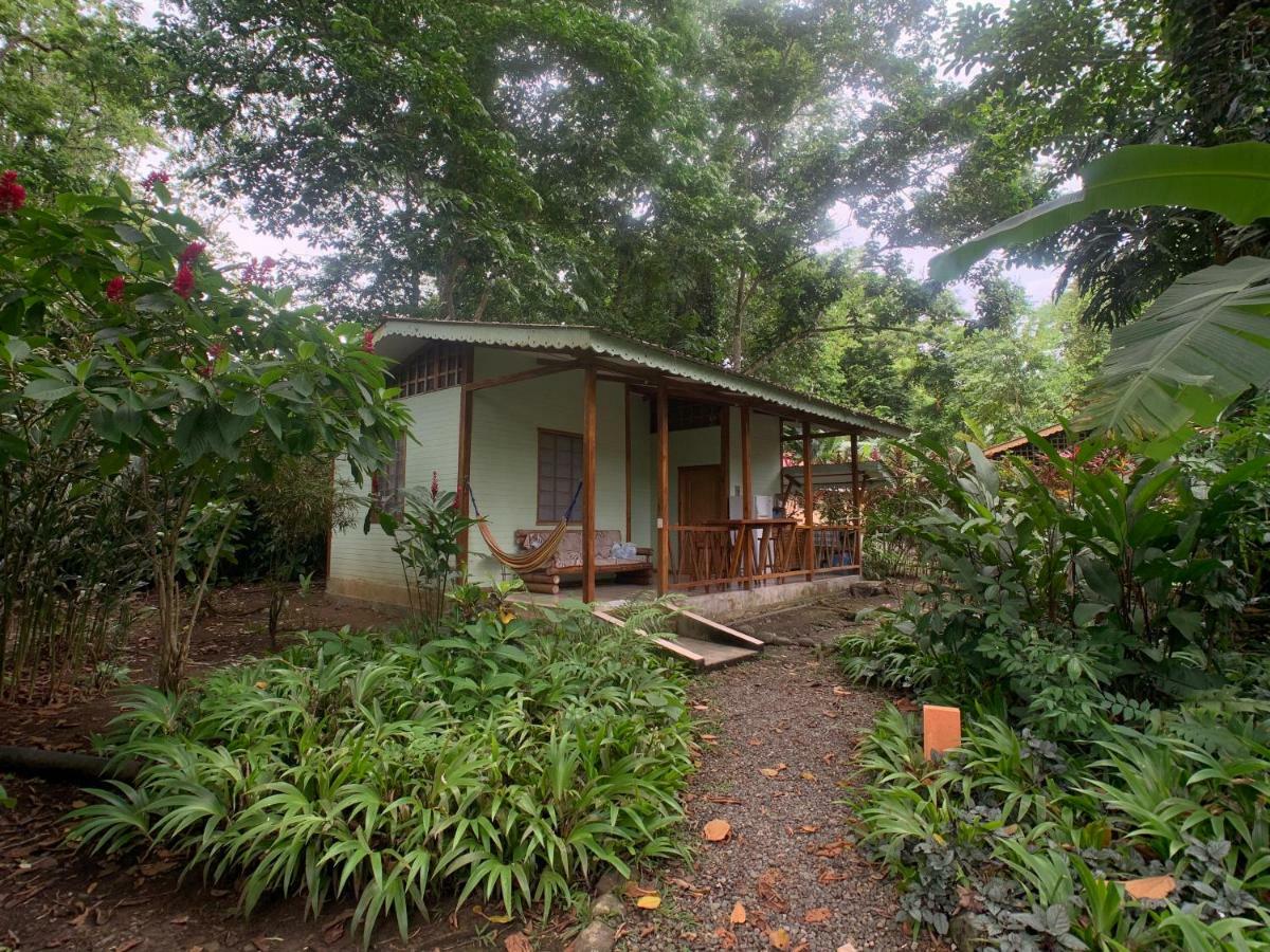 Luna Caribena Village Puerto Viejo de Talamanca Eksteriør billede