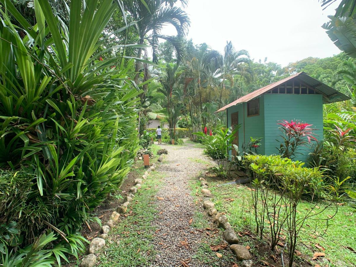 Luna Caribena Village Puerto Viejo de Talamanca Eksteriør billede