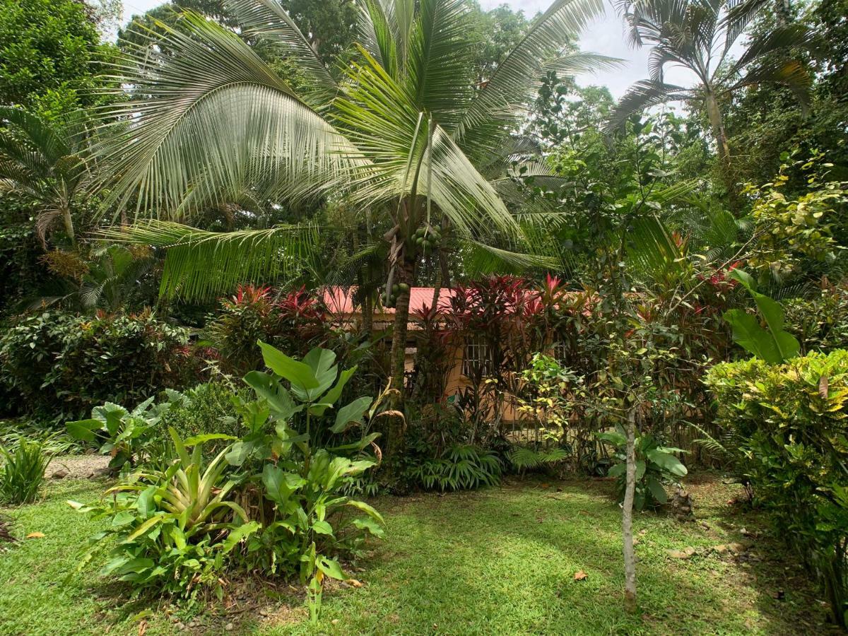 Luna Caribena Village Puerto Viejo de Talamanca Eksteriør billede