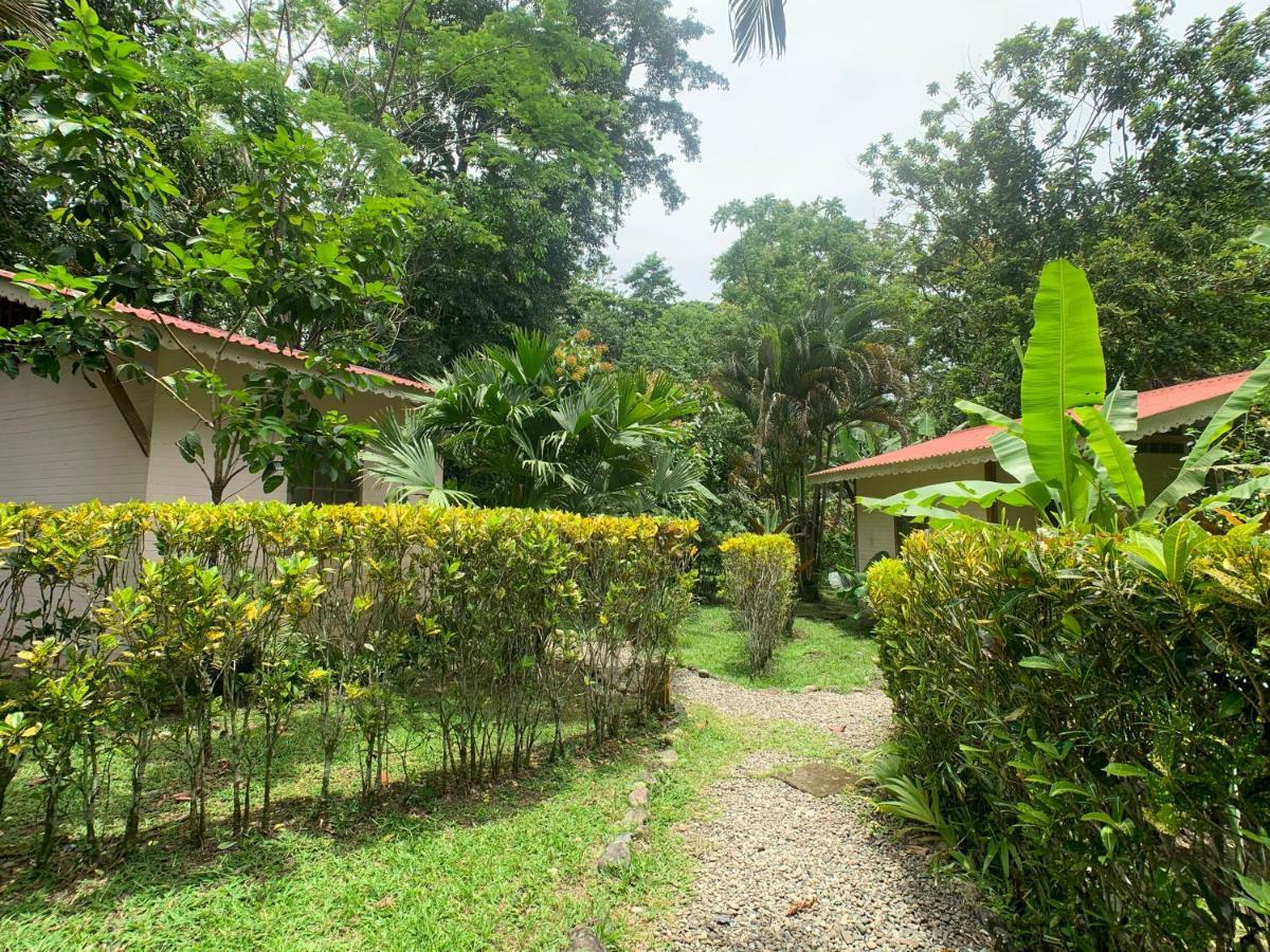 Luna Caribena Village Puerto Viejo de Talamanca Eksteriør billede